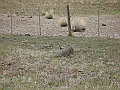 Patagonie 157